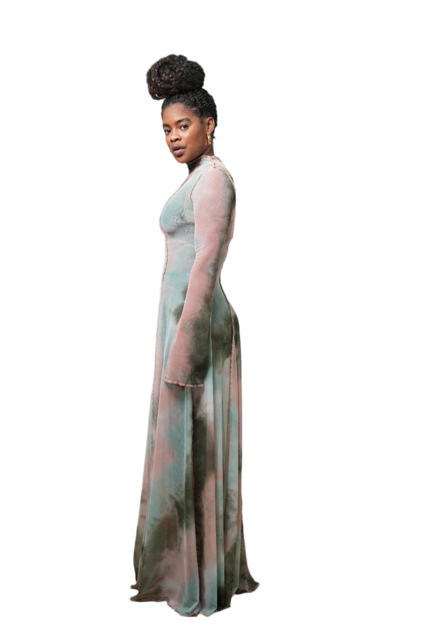Victoria Sheer Dress